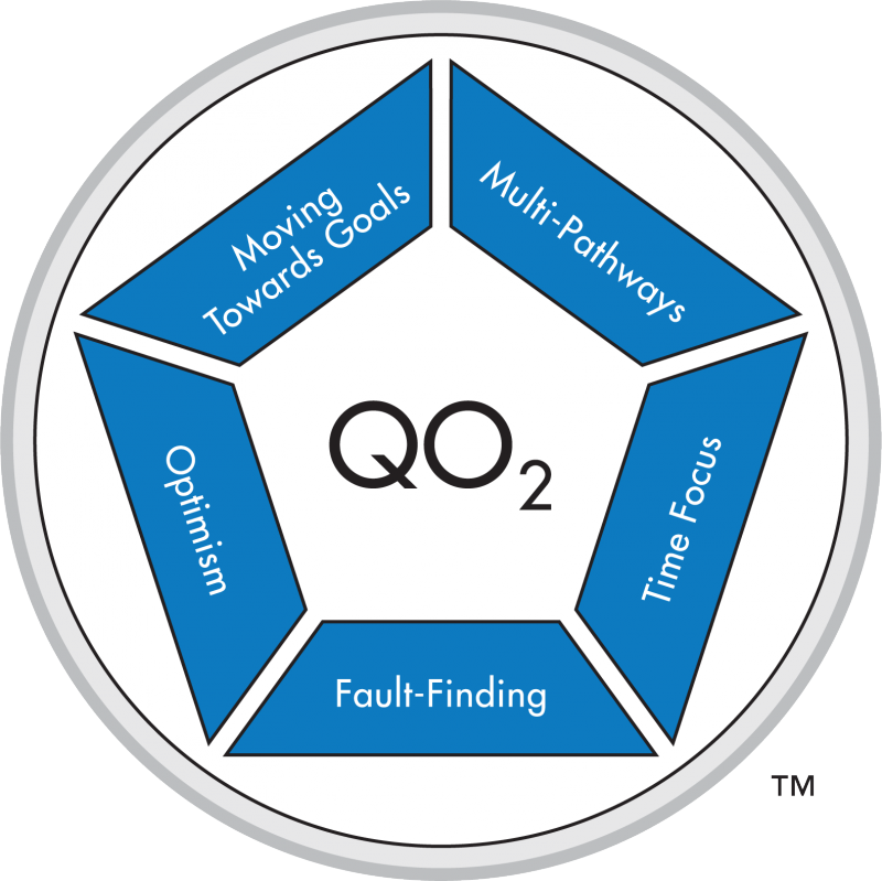 Opportunities-Obstacles Quotient (QO<sub>2</sub>) Profile