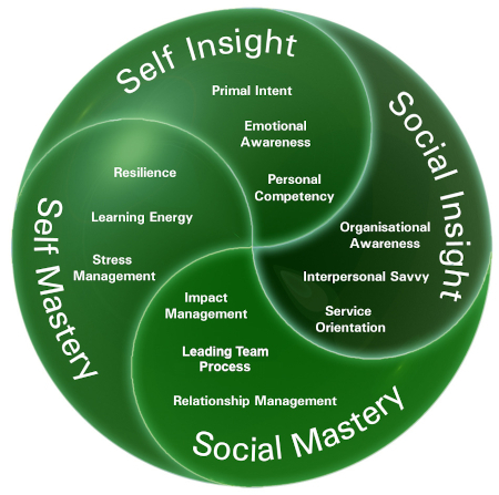Emotional and Social Intelligence Profile