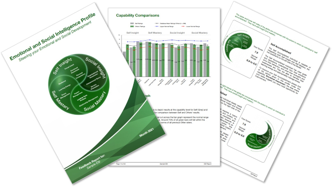 Emotional and Social Intelligence Profile