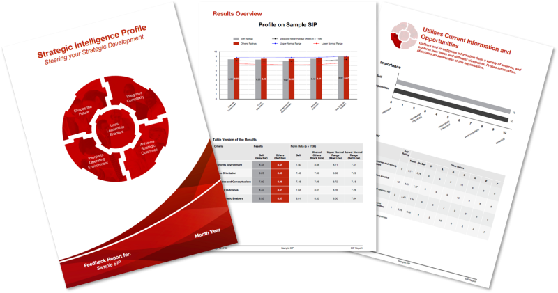 Strategic Intelligence Profile
