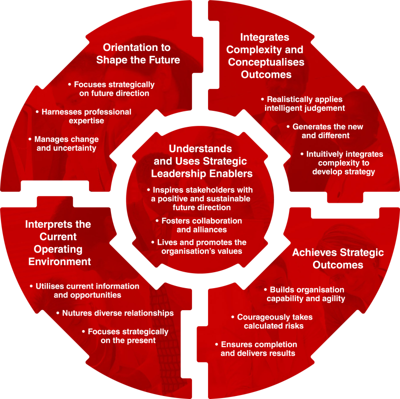 Strategic Intelligence Profile